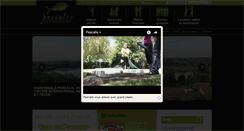 Desktop Screenshot of pescalis.com